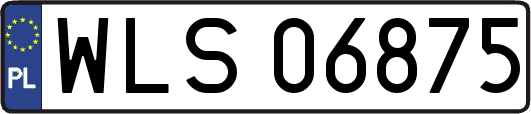 WLS06875