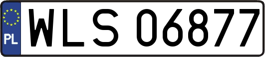 WLS06877