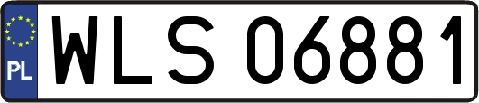 WLS06881