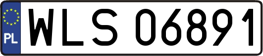 WLS06891