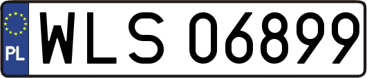 WLS06899
