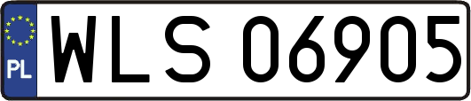 WLS06905