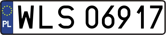 WLS06917