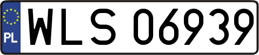 WLS06939