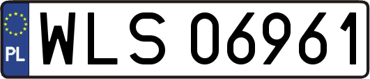 WLS06961