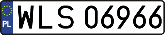 WLS06966
