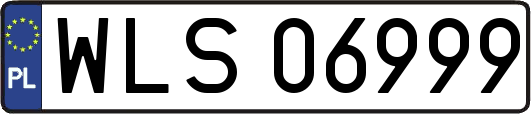 WLS06999