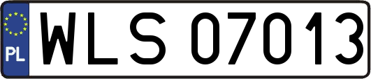 WLS07013