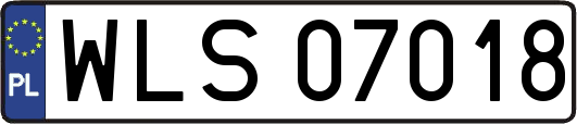 WLS07018