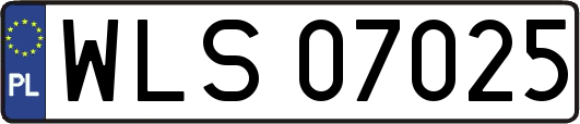 WLS07025