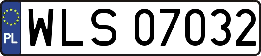 WLS07032
