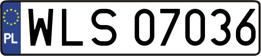WLS07036