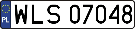 WLS07048