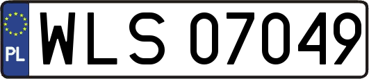 WLS07049