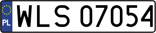 WLS07054