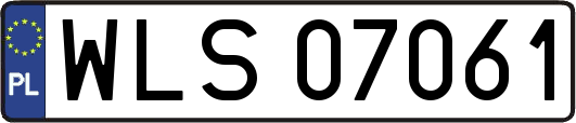 WLS07061