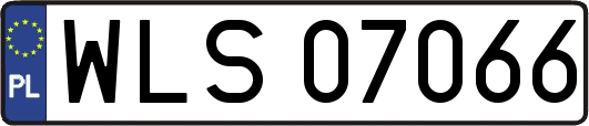 WLS07066