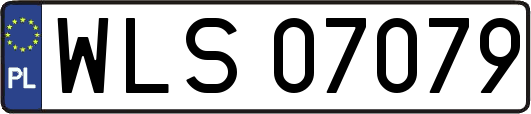 WLS07079
