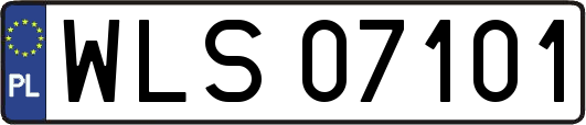 WLS07101