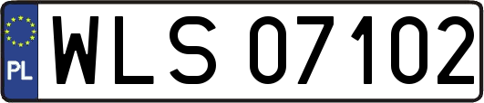 WLS07102