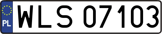 WLS07103