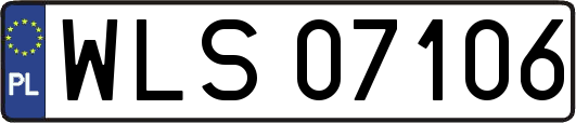 WLS07106