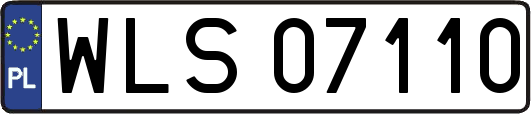 WLS07110