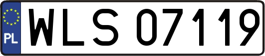 WLS07119