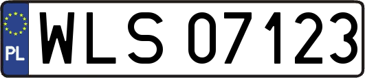 WLS07123