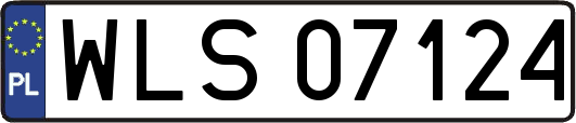 WLS07124