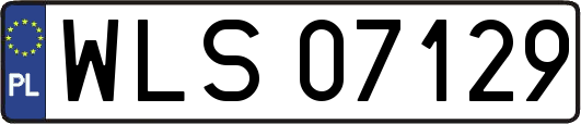 WLS07129