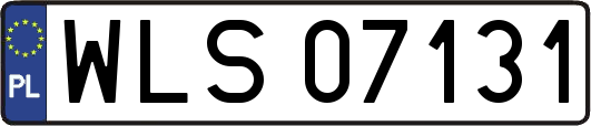 WLS07131