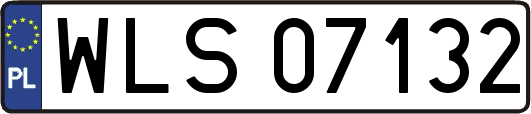 WLS07132