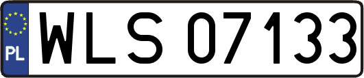 WLS07133