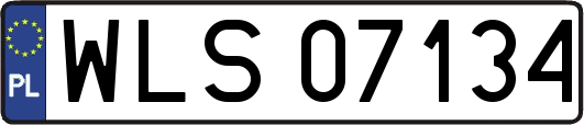 WLS07134