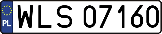 WLS07160