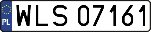 WLS07161