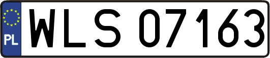 WLS07163