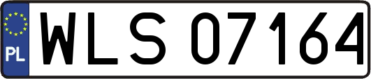 WLS07164