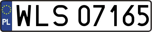 WLS07165