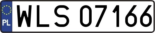 WLS07166