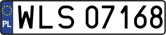 WLS07168