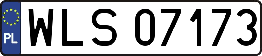 WLS07173