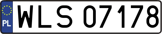 WLS07178
