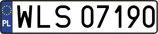WLS07190