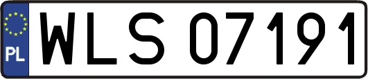 WLS07191