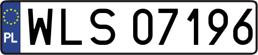 WLS07196
