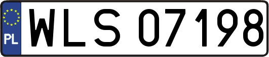 WLS07198