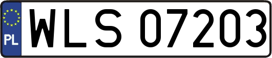 WLS07203