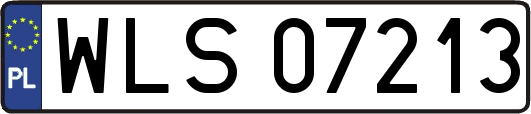 WLS07213